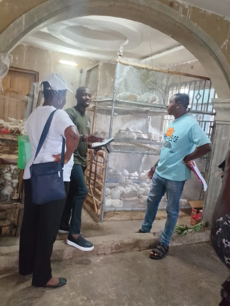 Farmers visiting a poultry facility with broiler chickens